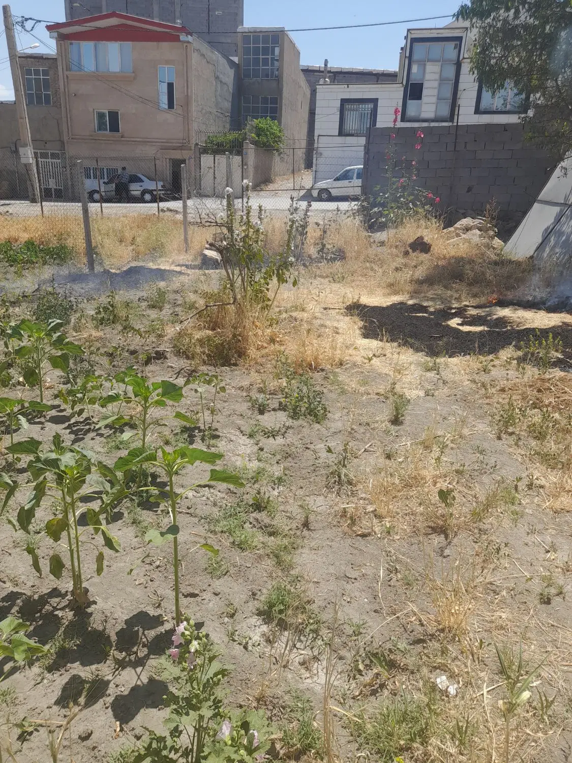تیگو شاسی بلند معاوضه با زمین بالای نایب