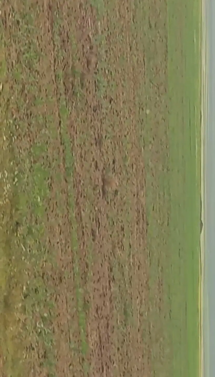 قطعات ایثارگران