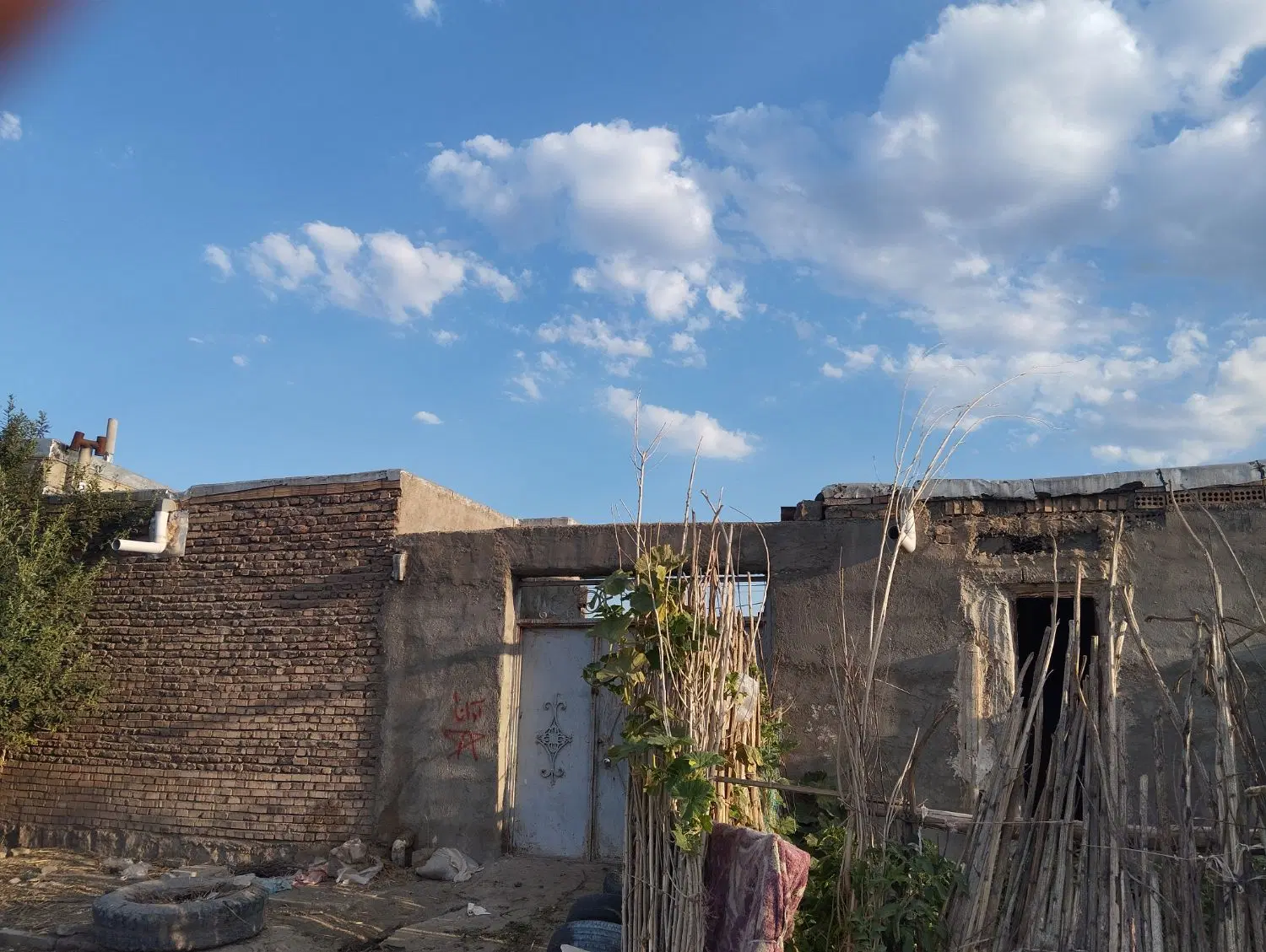 دامداری دارای کلیه امتیازات