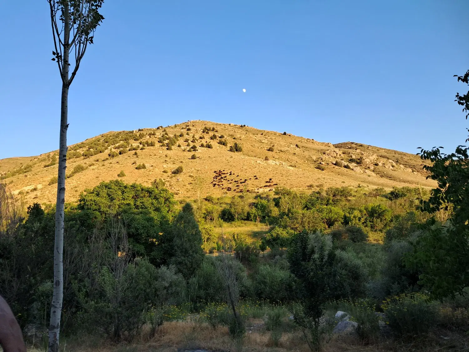 زمین فروشی