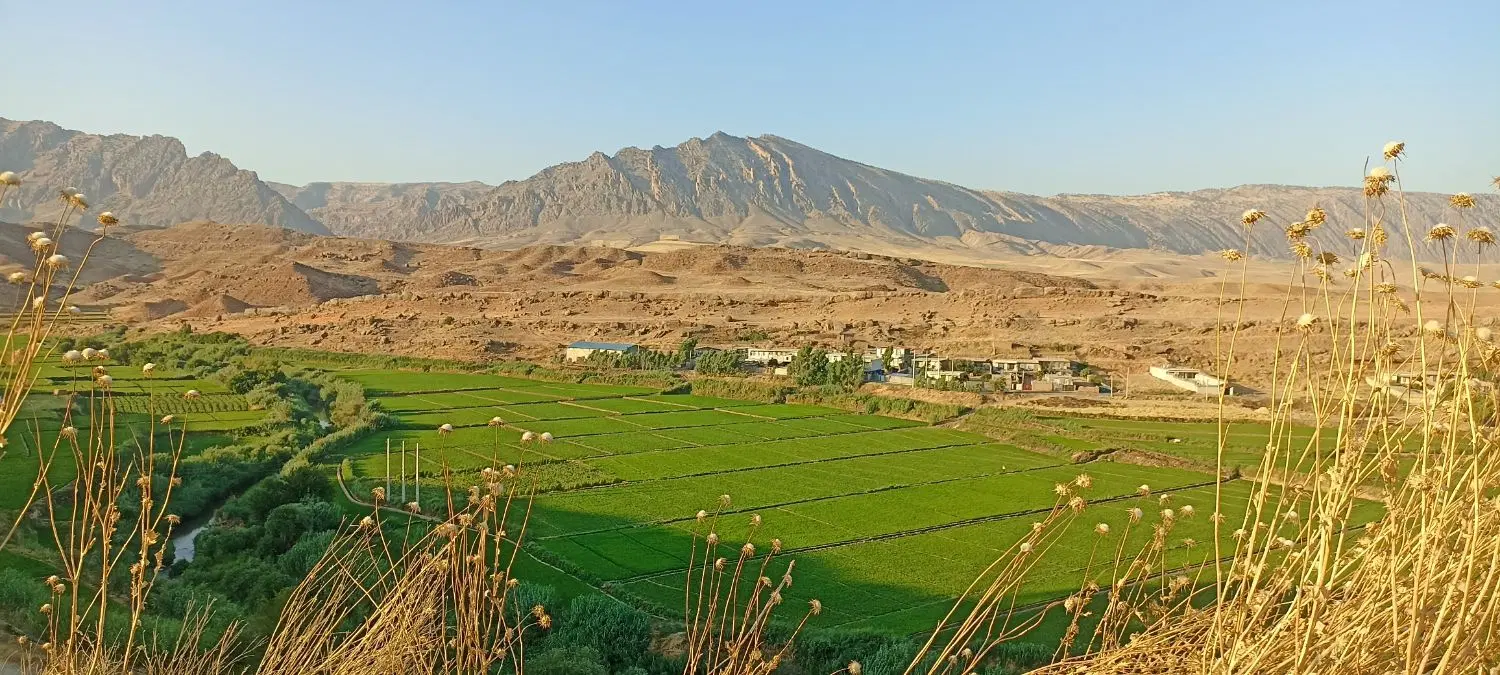 اجاره چالسرا
