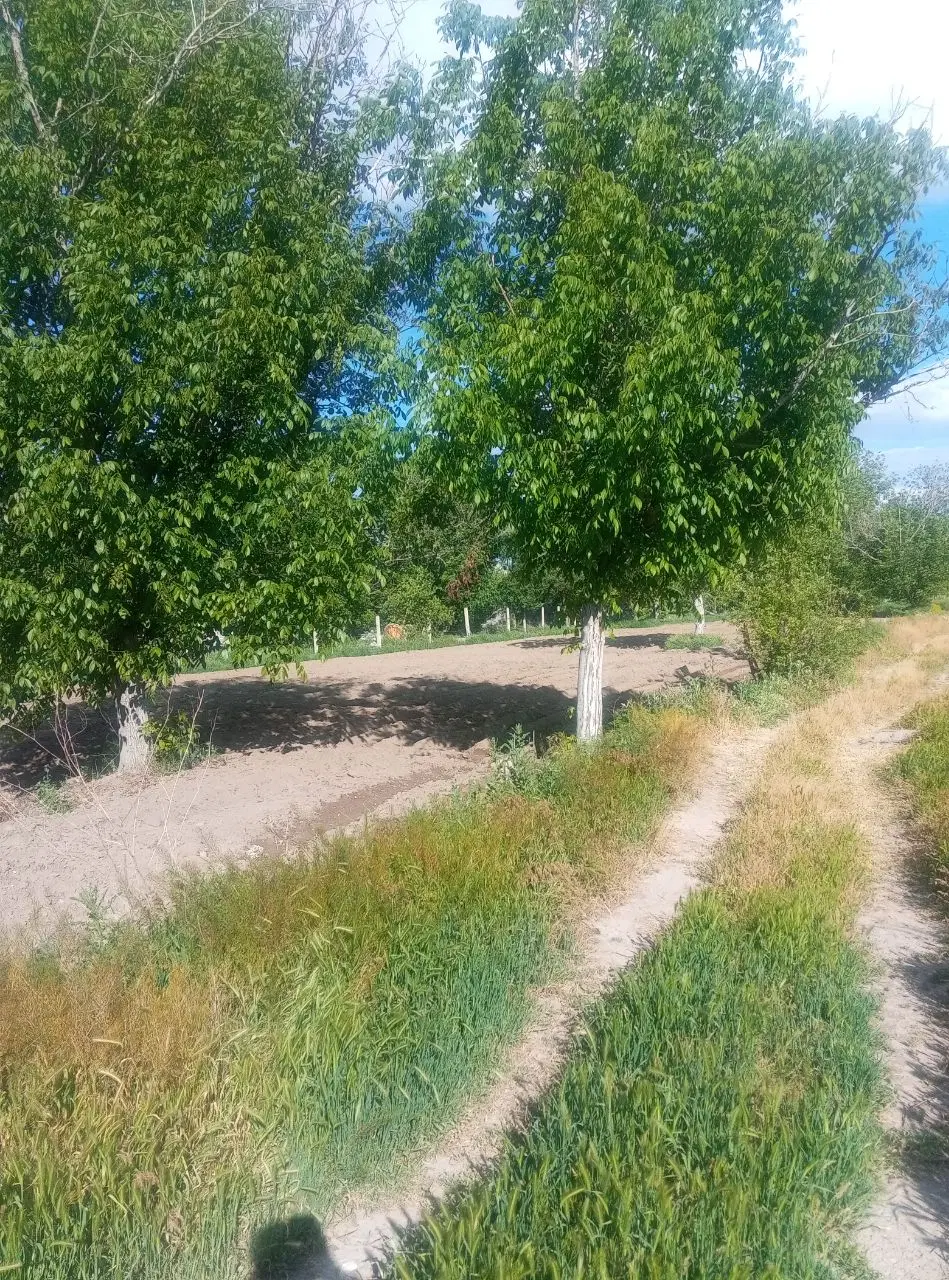 زمین برای ساخت خانه