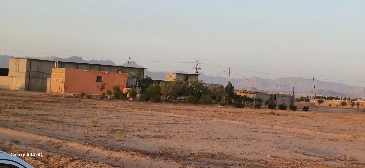 زمین باغی