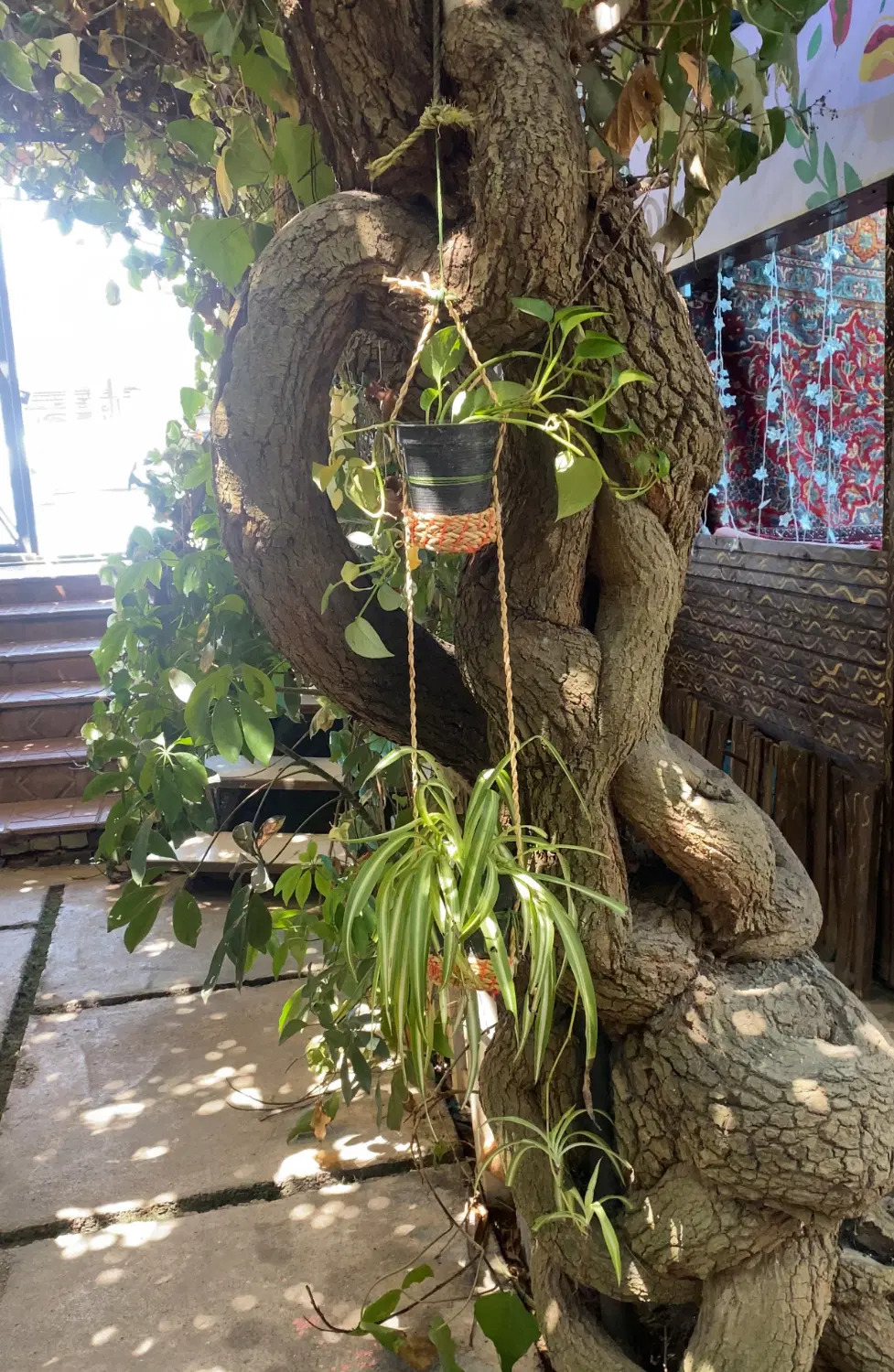 معاوضه با زمین