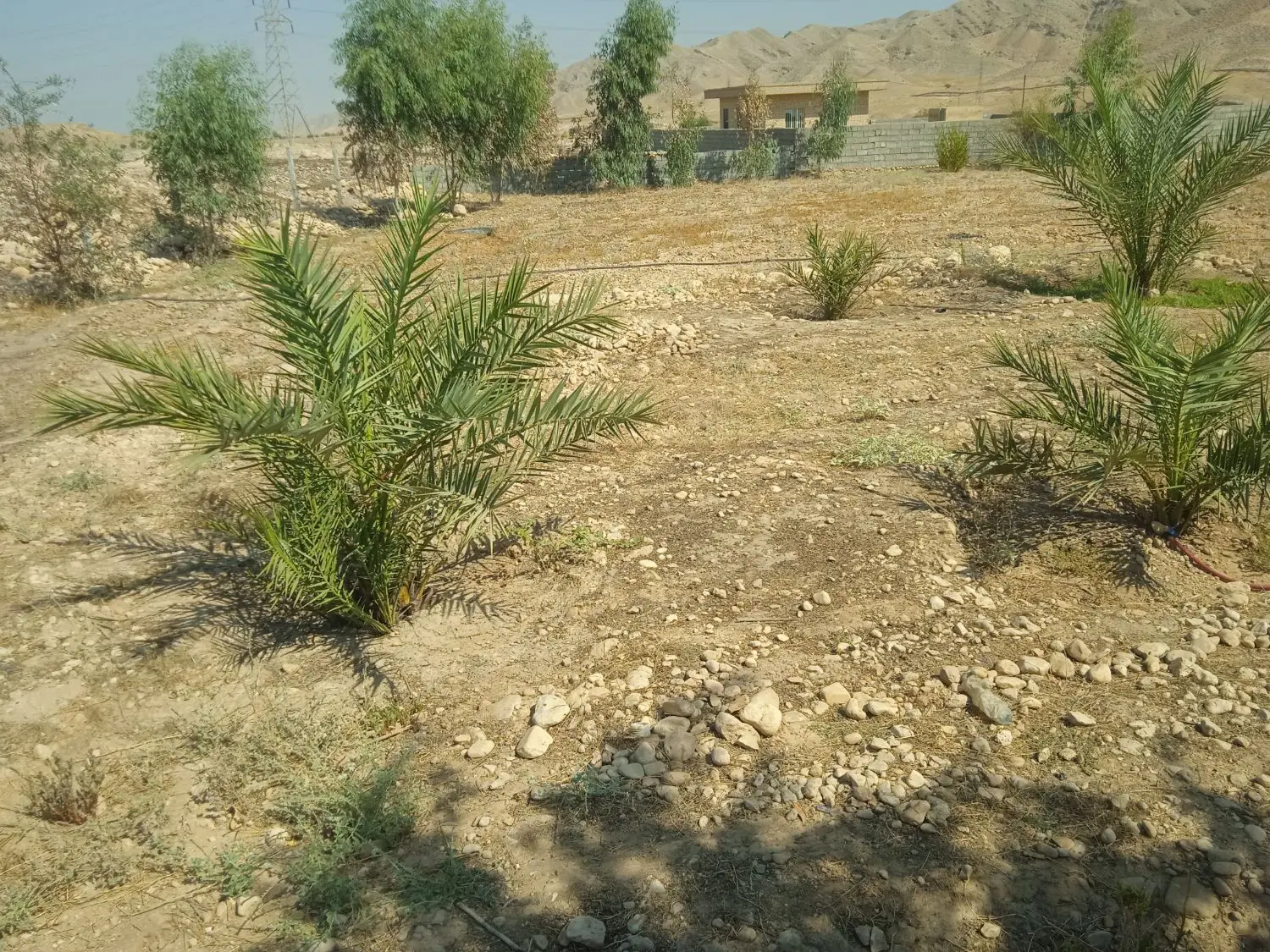 فروش یک قطعه زمین مسکونی خونه باغی بفروش میرسد