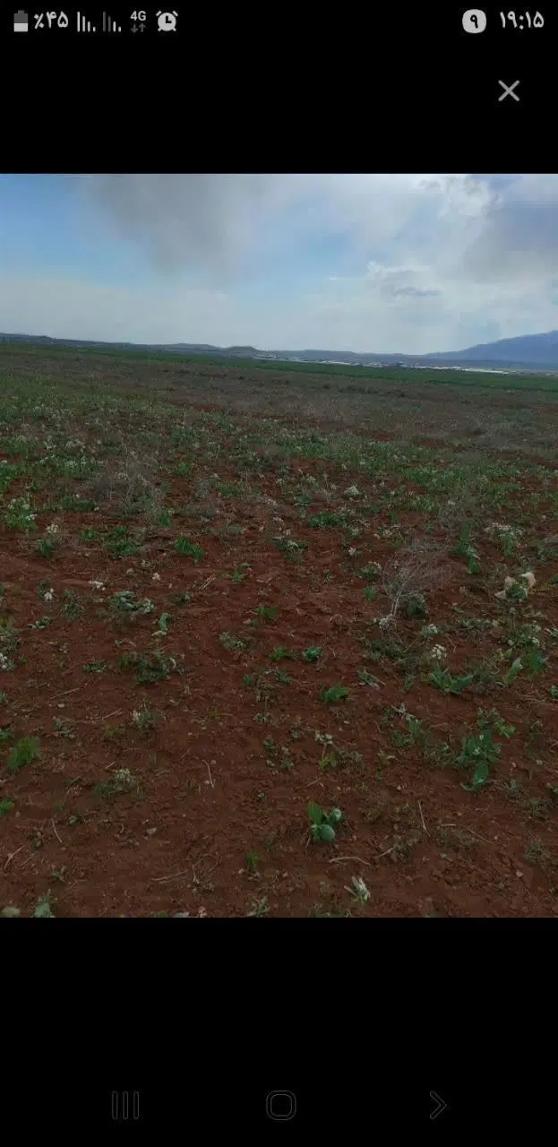 زمین کشاورزی درنمرور