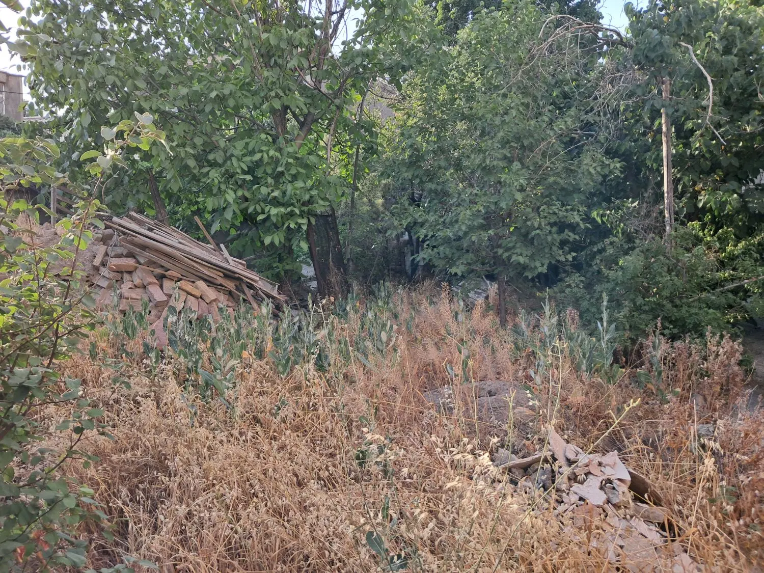 ۳۰۰ متر زمین فروشی خیابان ۱۵ خرداد