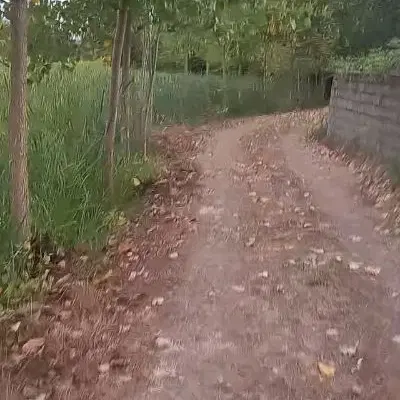 ۳۲۰۰متر زمین با کاربری مسکونی