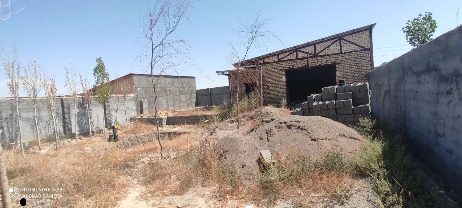 باغچه  فروشی کاهو
