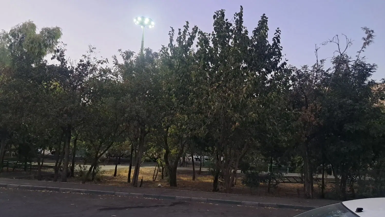 ۱۰۰ متر