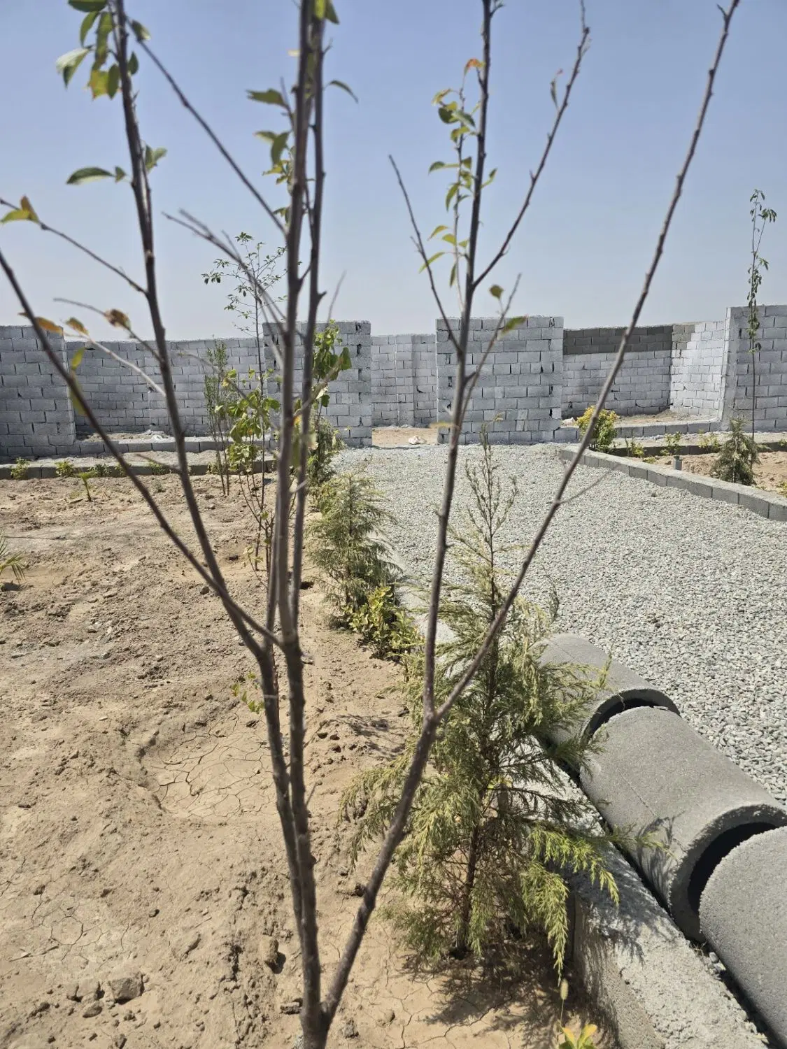 باغ مجوز دار ۳۳۰ متری_ سند تک برگ_ معاوضه خودرو