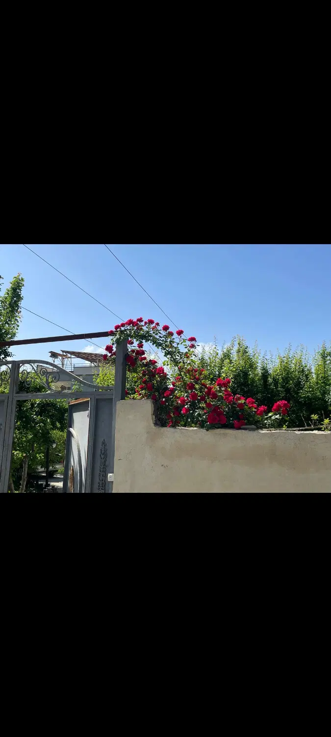 باغ۱۳۵۰ متری با امکانات عالی