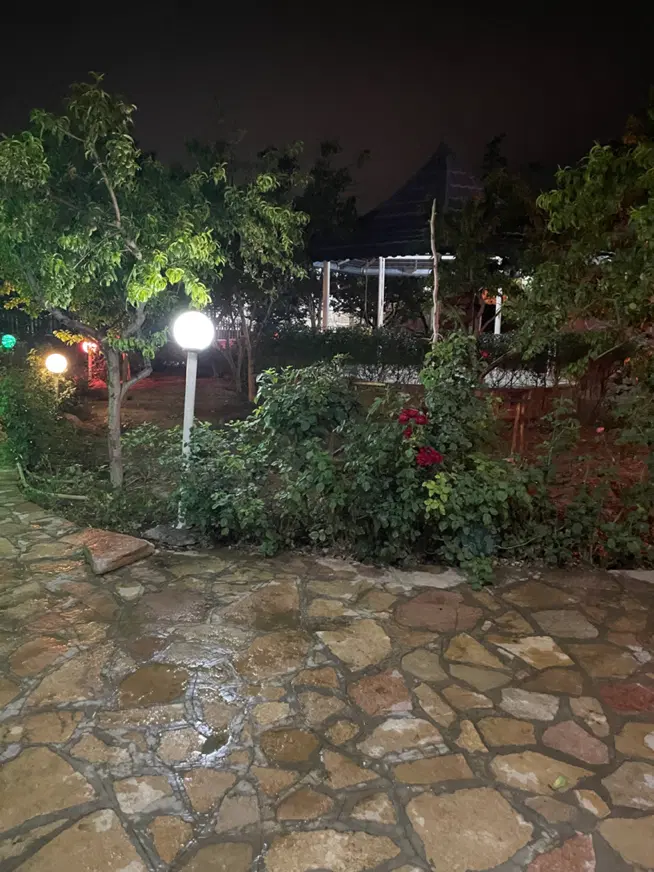باغ رضویه