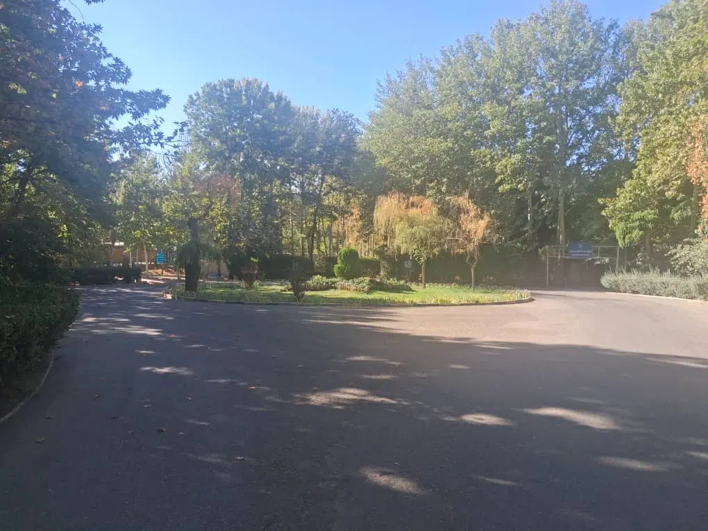زمبن ملکی با سند تک برگ