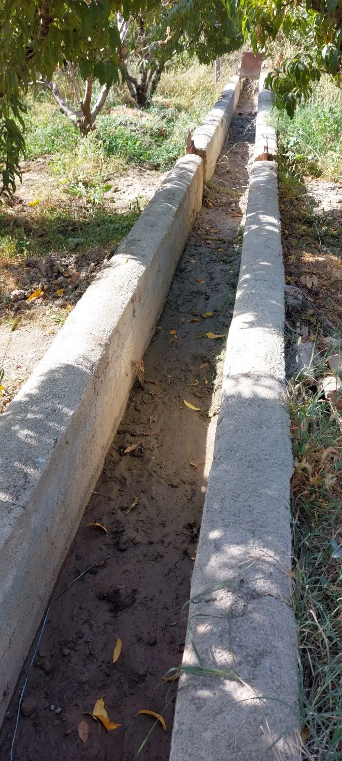 800متر باغ الوان روستای عربلوی بیشه
