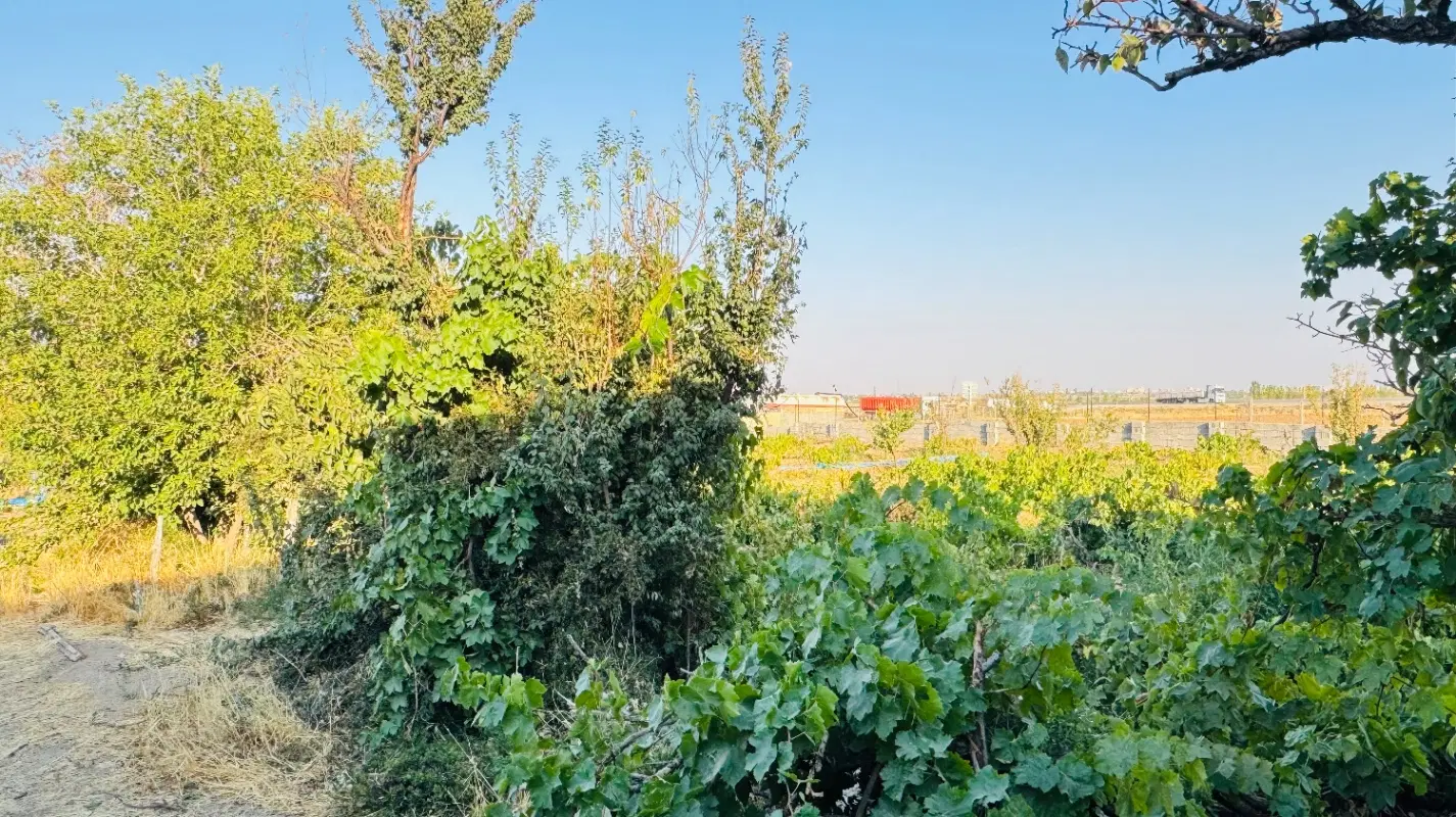۳هزارمتر باغ ۴۰ساله کنارگذرمرزیجران