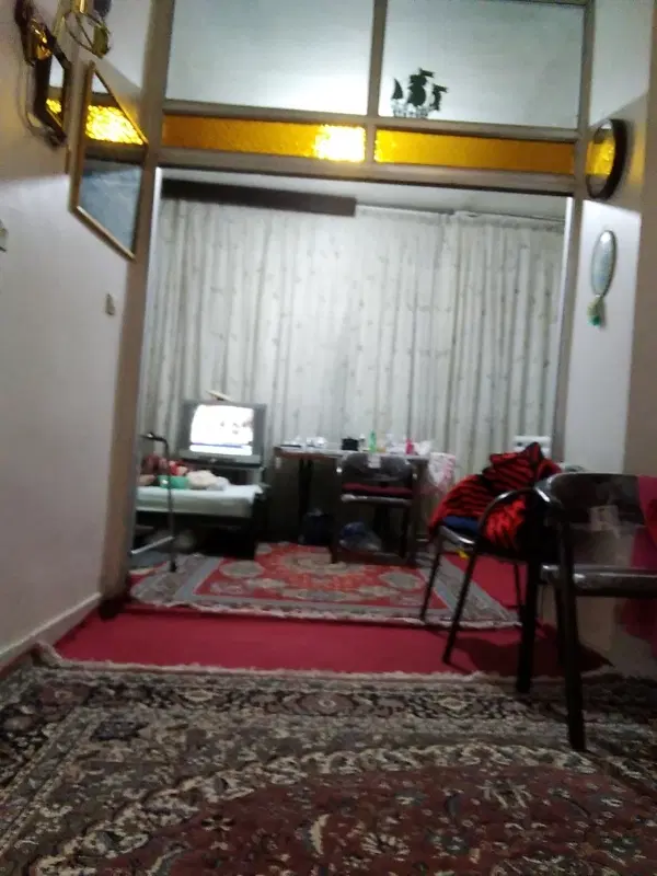 هم خانه خانم