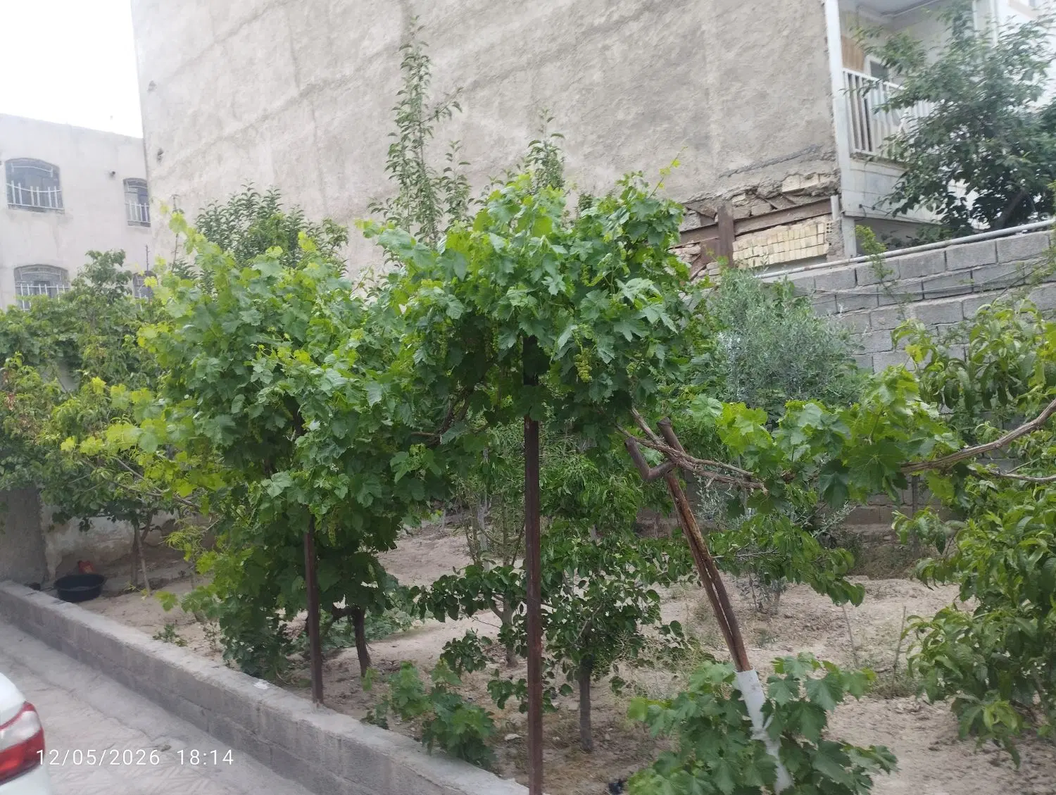 زمین مسکونی ۱۲۰ متری شهریار وحیدیه