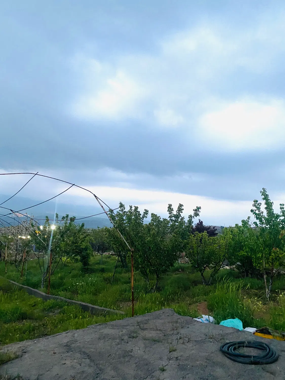 زمین خانه باغ سرطاف