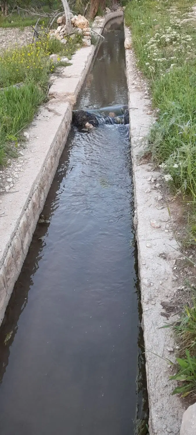 زمین کشاورزی ابی سراب ایوان