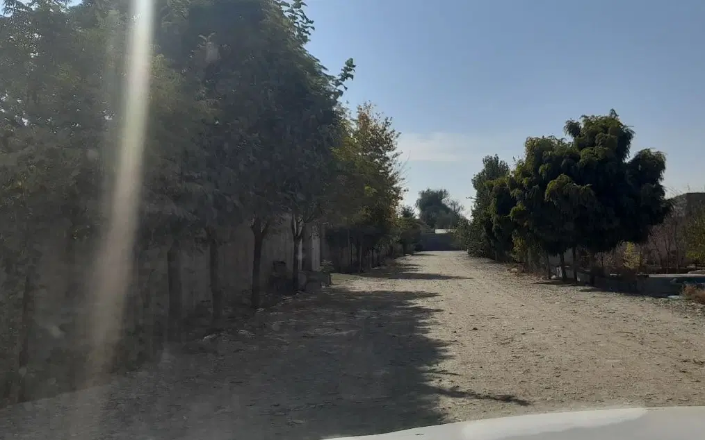 207زمین چهار دیواری