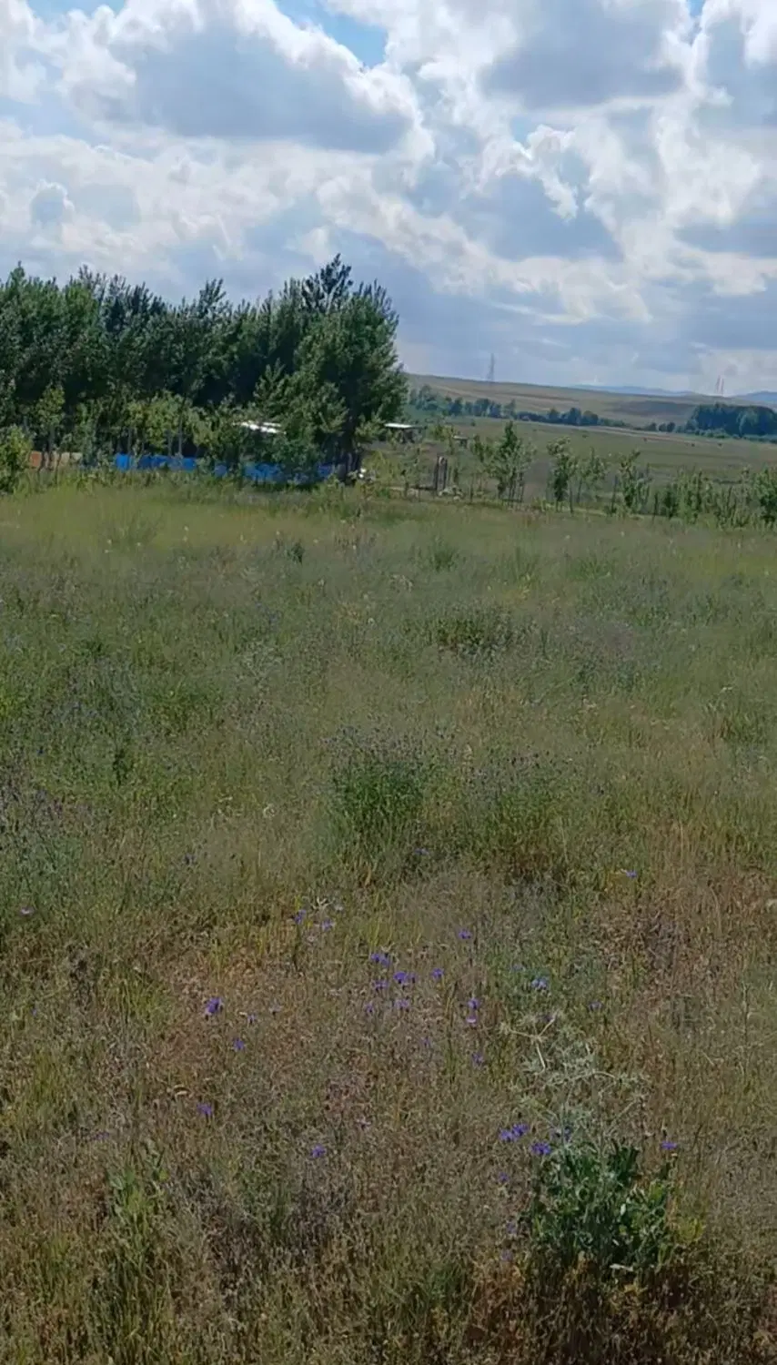 باغ بر جاده با آب و برق در ورزقان روستای کرویق