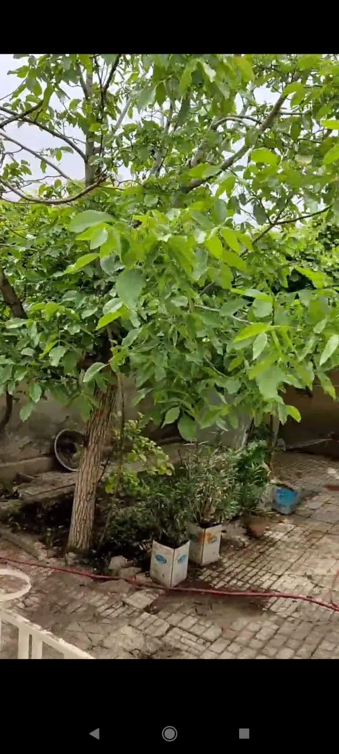 فروش ویلایی دونبش کلنگی محدوده رازی شهید جعفری