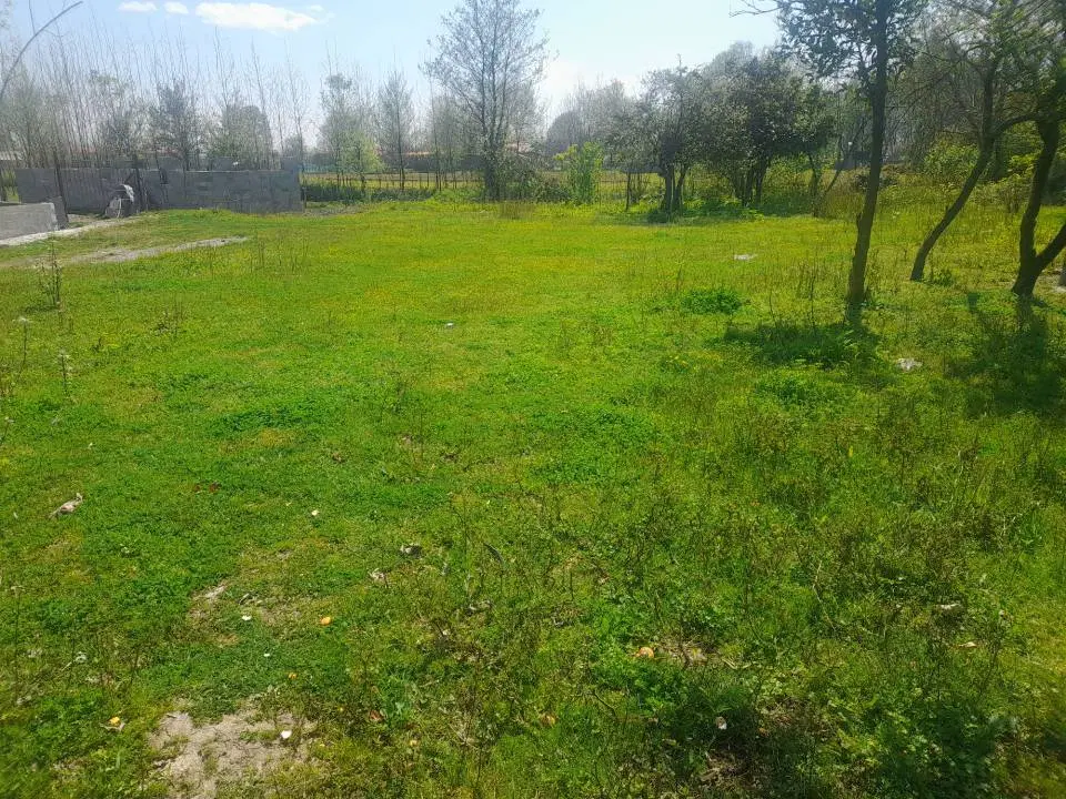 زمین مسکونی دراستان گیلان