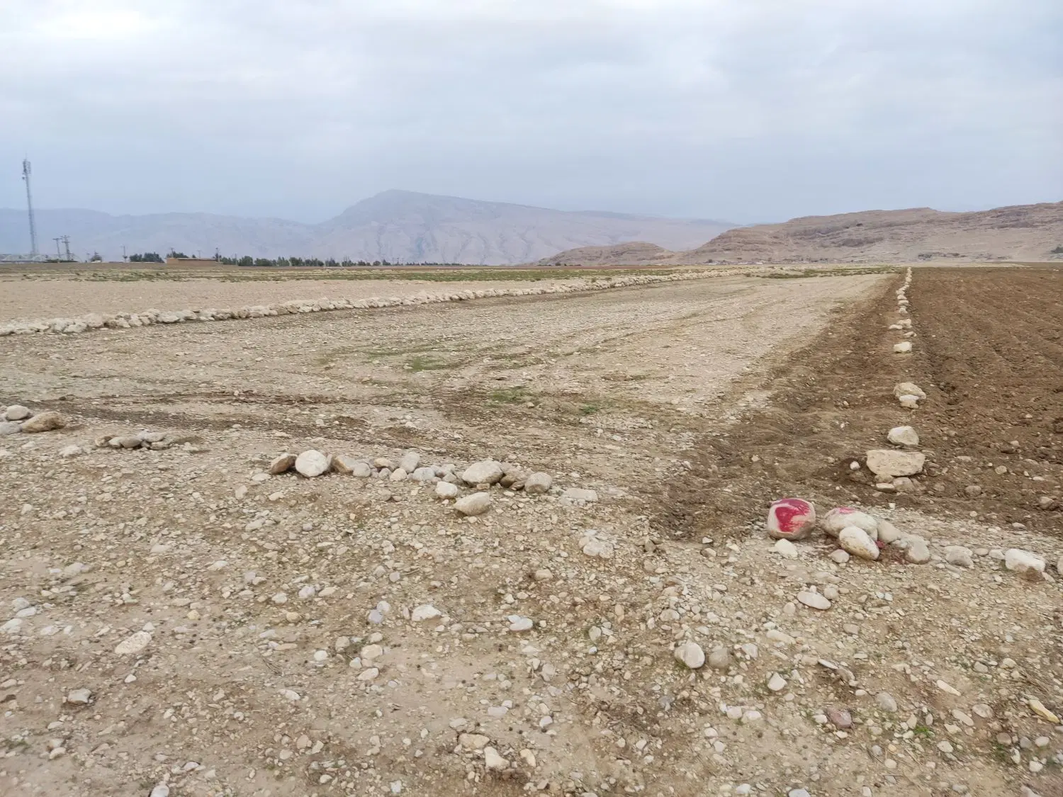 زمین کشاورزی