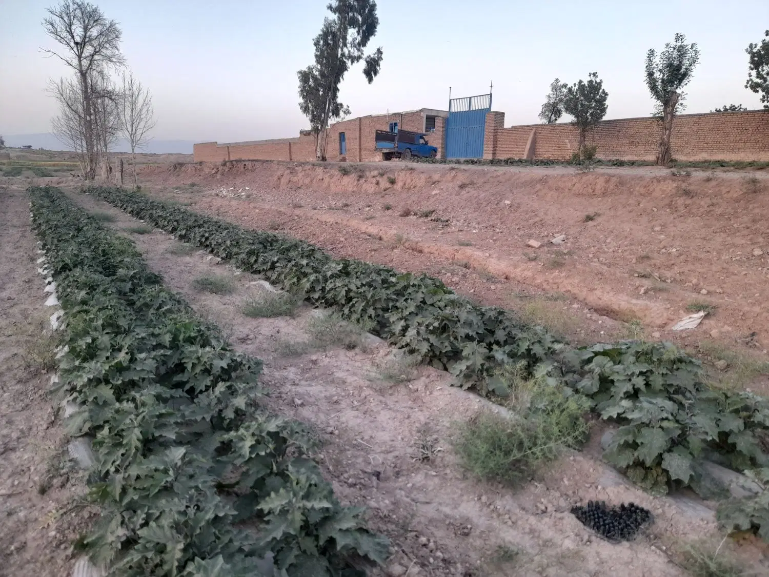 زمین  بلوار خلیج فارس پیشوا