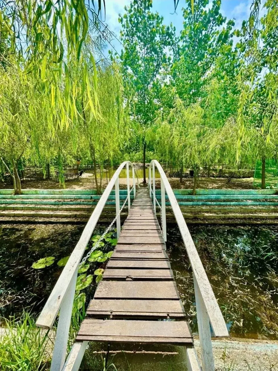 استانداردی تازه برای زندگی