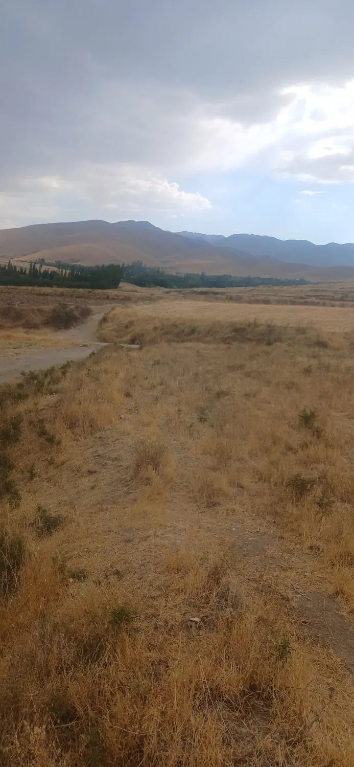 زمین کشاورزی