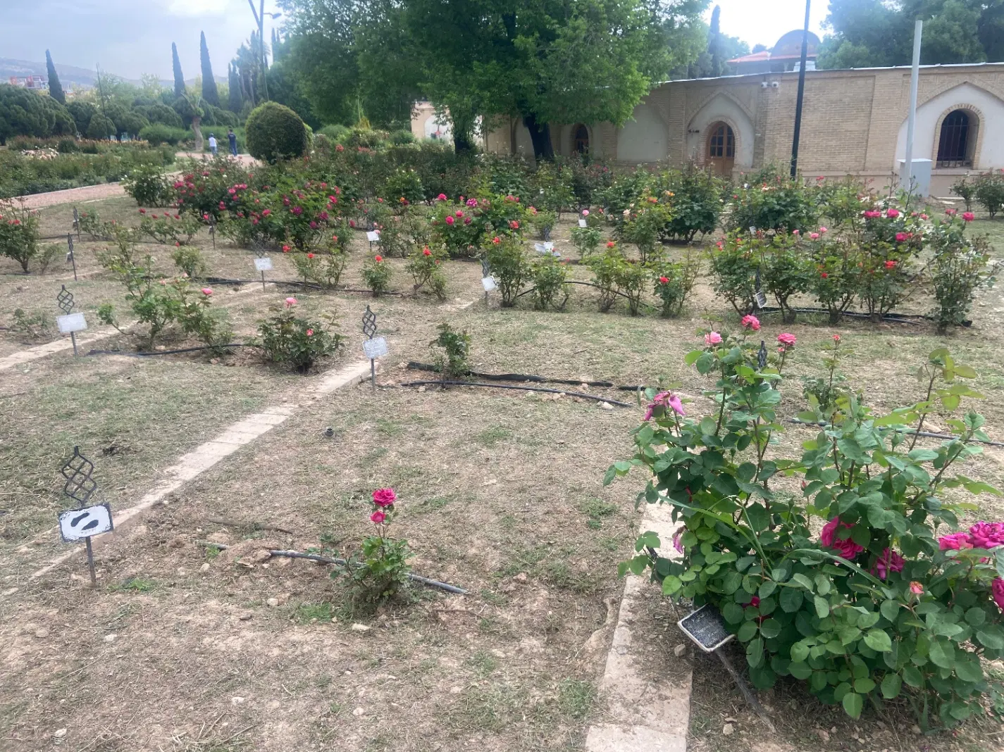 زمین باغی در روستای می آباد