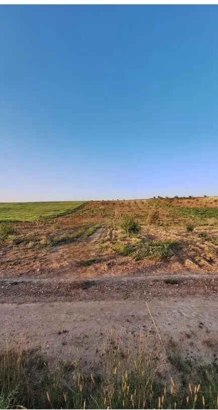 زمین کودیان