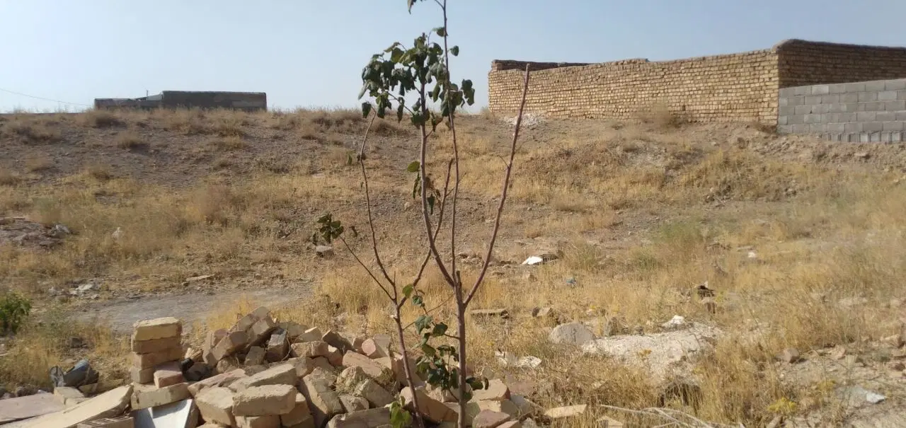 زمین 200 متری مهرگان، شترک