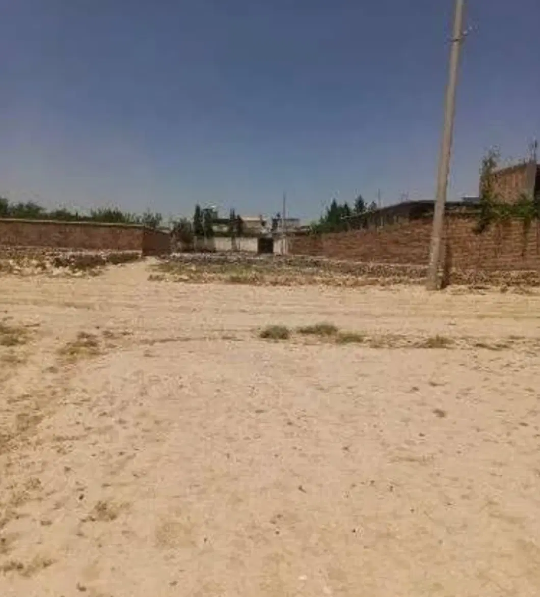 زمین