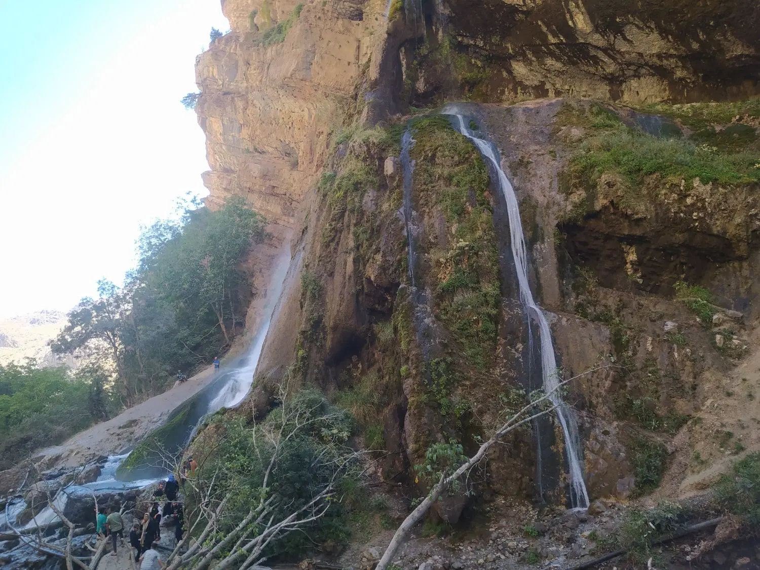 زمین آینده دار پشت دانشگاه آزاد فلاورجان