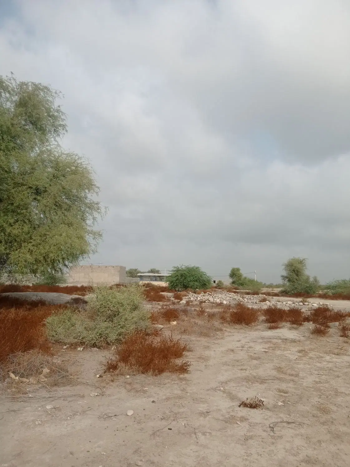 فروش زمین باغات
