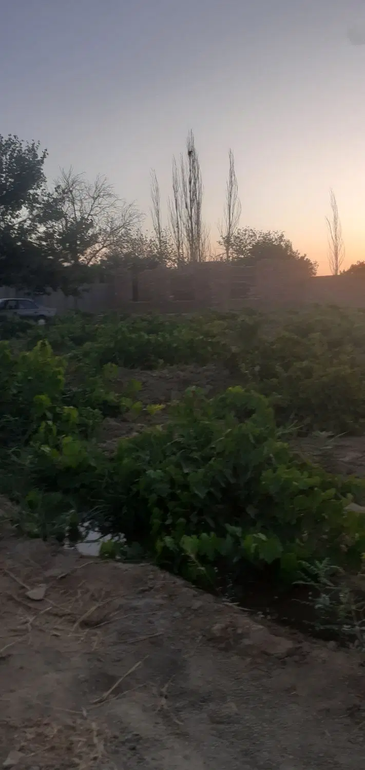 باغ فروشی روستای مهرآباد