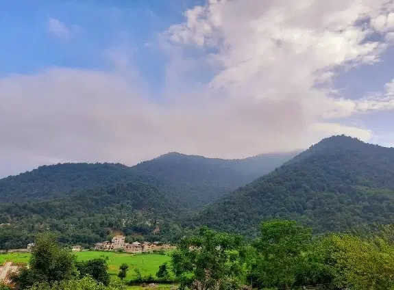 زمین مزروعی_ مسکونی طاسکوه