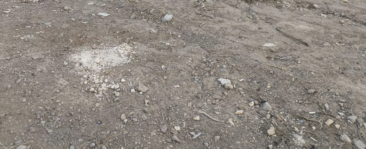 زمین ۱۵۰متر شمالی بلوار دانشگاه فلکه بسیج شریعتی