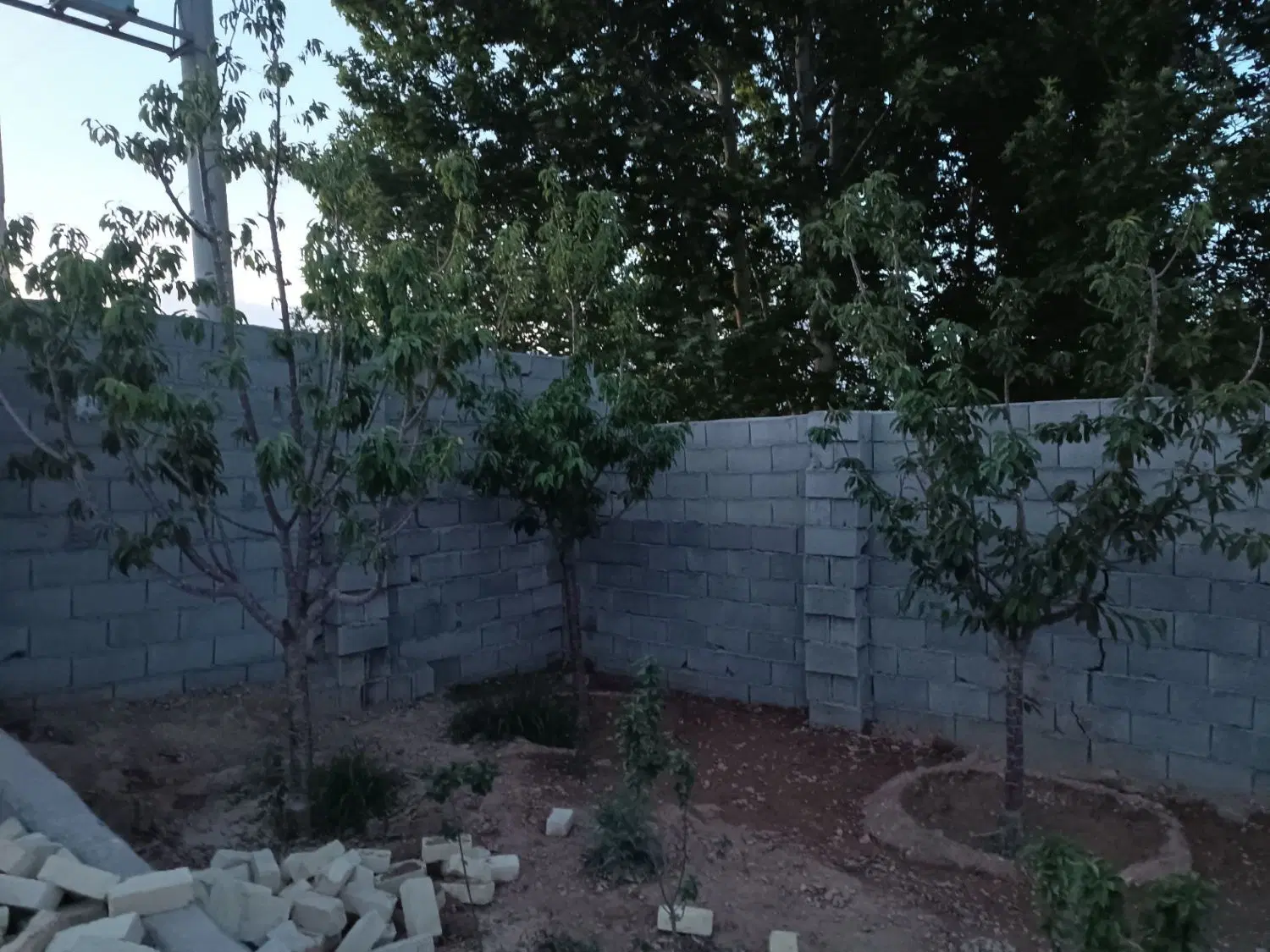 باغ درختان میوه اشترجان