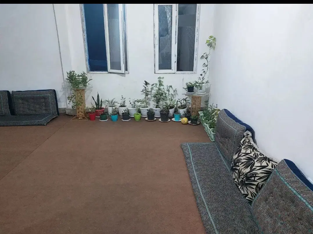 اجاره آپارتمان الغدیر
