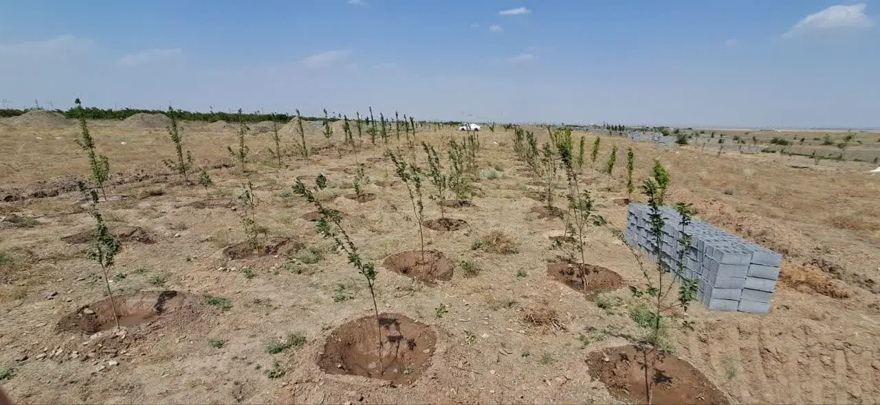 750 میلیون زمین در روستای شاندیز 800 متر