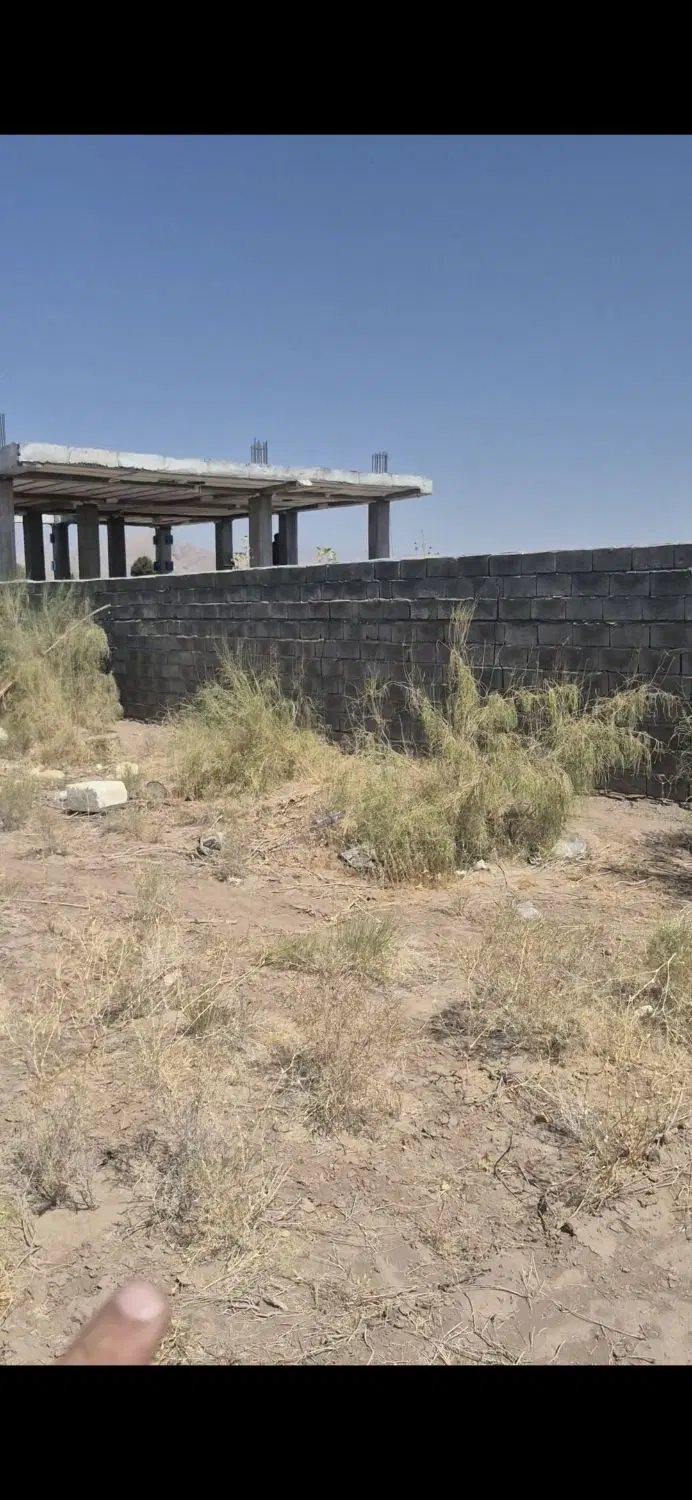 زمین سند تک برگ