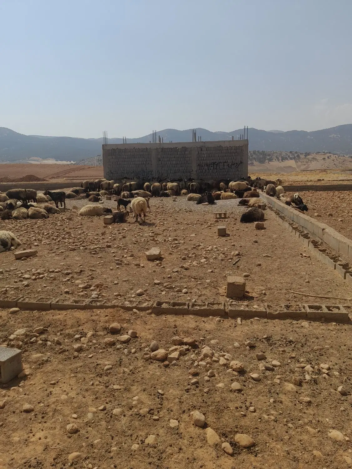 فروش زمین مالکی دست اول زیرشهرک پرستاران نقدمعاوظه