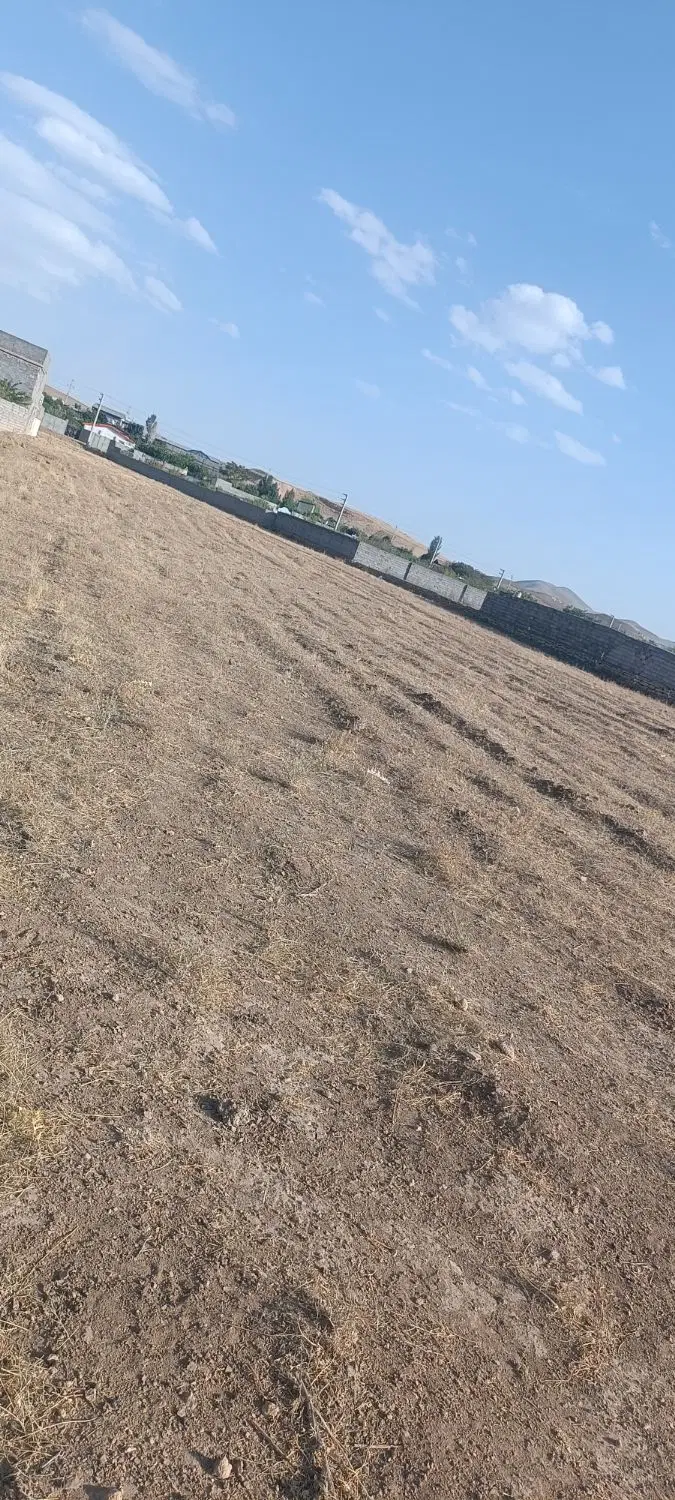 زمین در یکانه