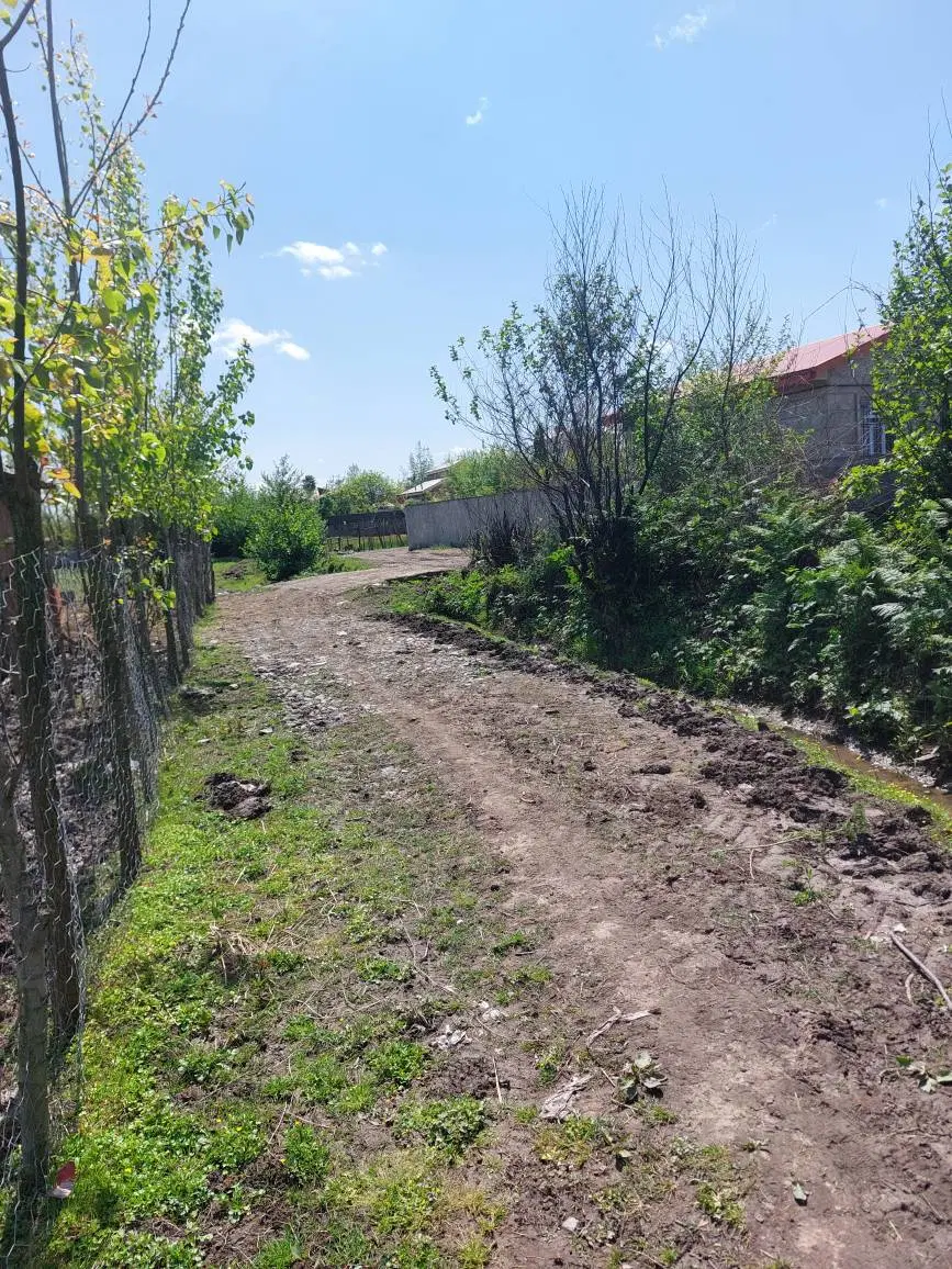 زمین برای ساخت کلبه و ویلا کانکسی نزدیک ساحل