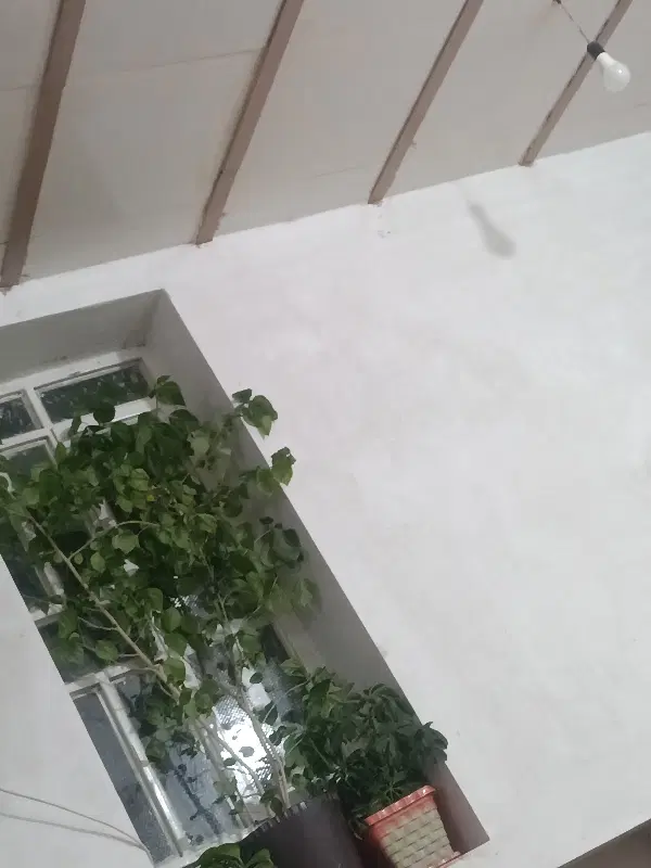 مستاجرم(محدوده نجف اباد ،اکبراباد)