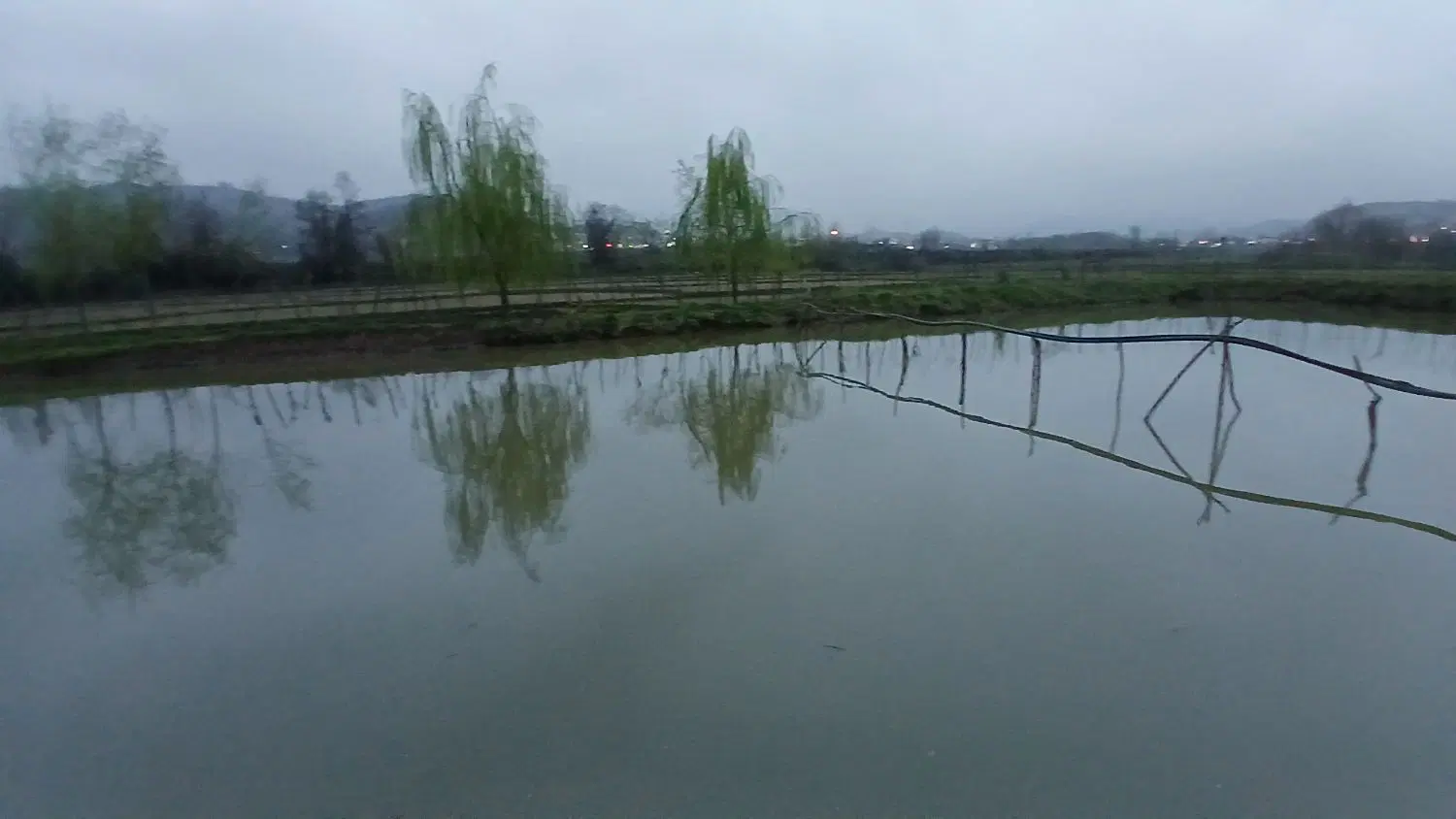 استخر ماهی گرمابی  ۱۸۰۰متری با ماهی ۱۰۰۰تایی